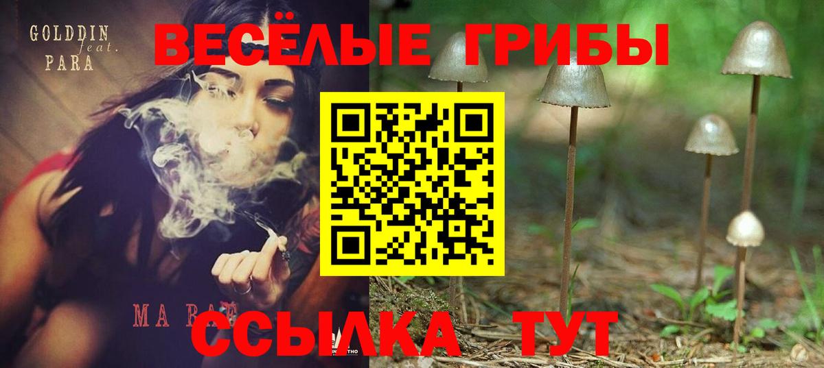 Галлюциногенные грибы ЛСД Дмитров