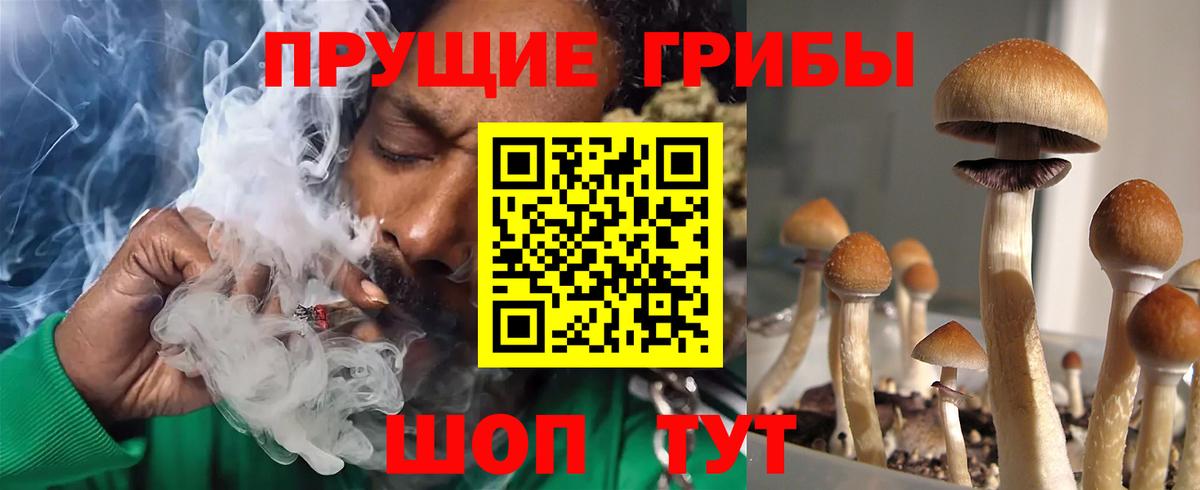 Дмитров  Галлюциногенные грибы мухоморы  Галлюциногенные грибы MAGIC MUSHROOMS  Вход с VPN 
